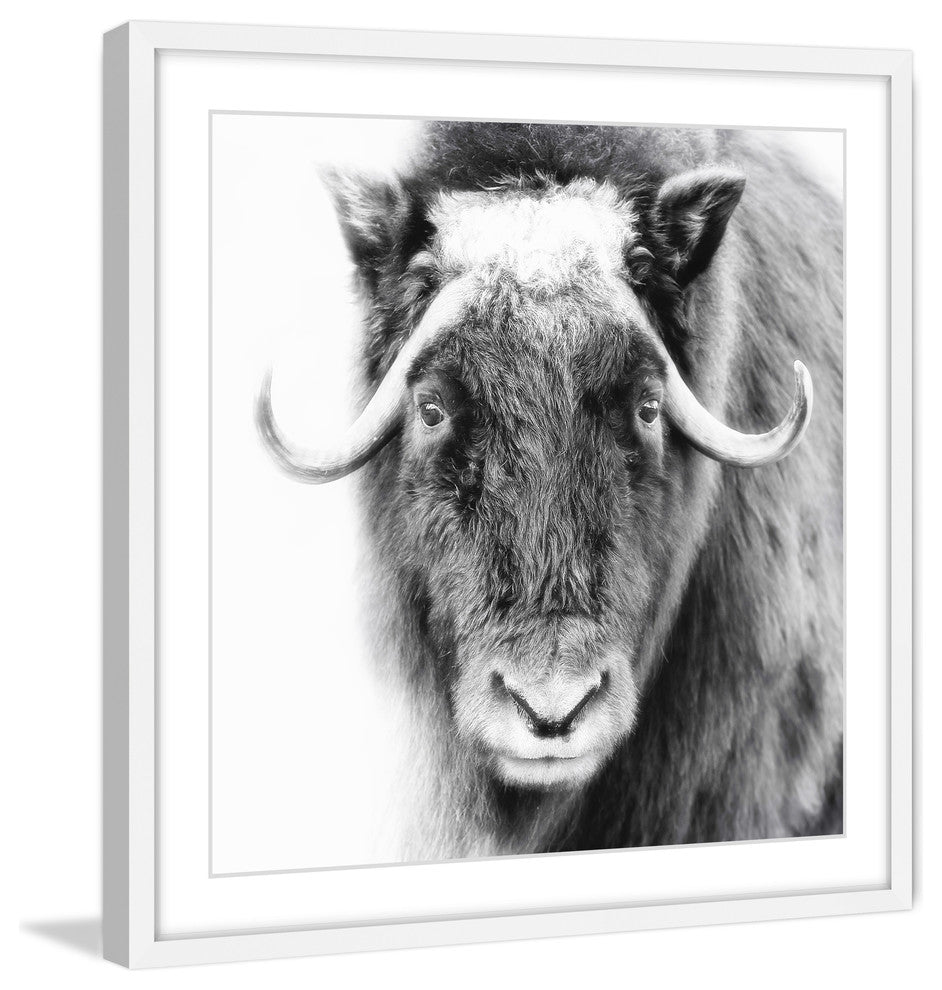 Marmont Hill, "Look at Me" Framed Painting Print, 32x32