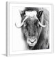 Marmont Hill, "Look at Me" Framed Painting Print, 32x32