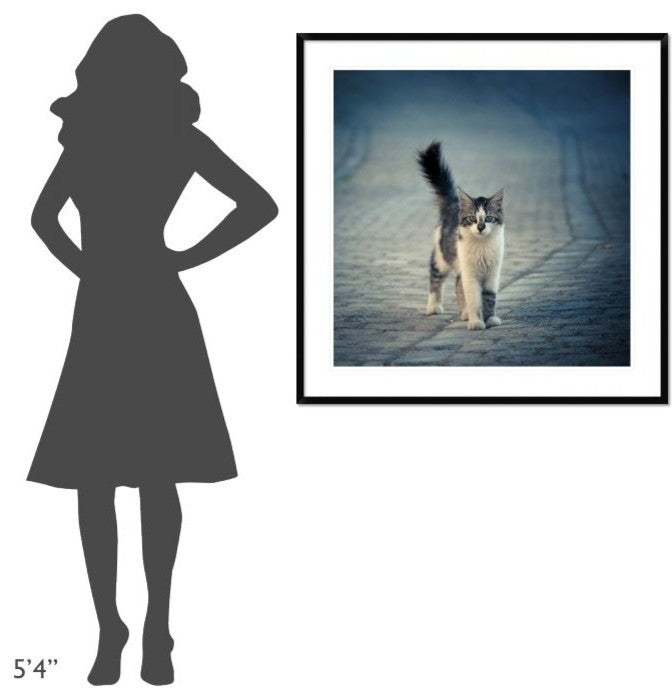 "Little One" Framed Digital Print by Dejan Ilijic, 38"x38"