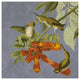 "Audubon Decor - Humming Bird Detail" Digital Paper Print by BG.Studio, 42"x42"
