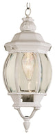 Trans Globe Rochefort 20" Outdoor Hanging Lantern In White