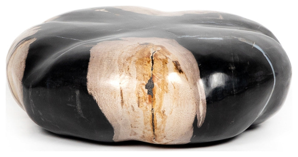 Petrified Wood Organic Sculpture-Dark