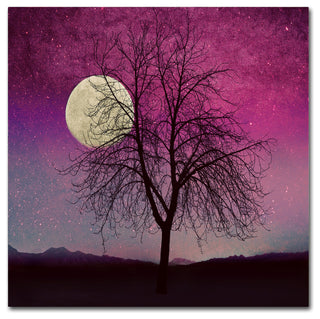 Tina Lavoie 'Pink Twilight' Canvas Art, 35" x 35"