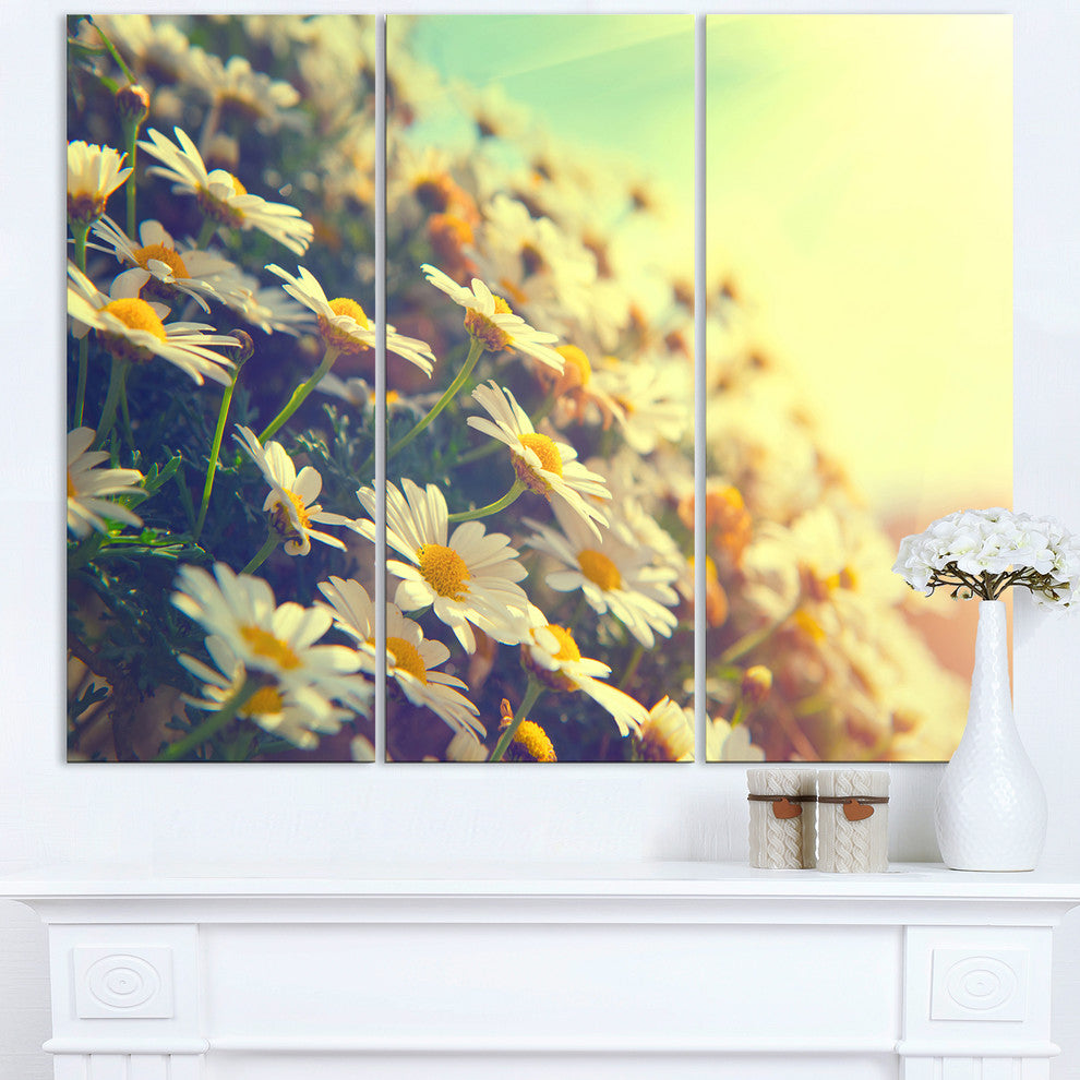 "Nature With Blooming Chamomiles" Metal Wall Art, 3 Panels, 36"x28"