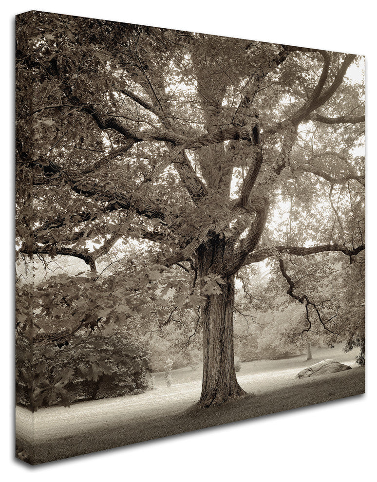 Alan Blaustein ''Hampton Maple I'' Canvas Art, 35x35