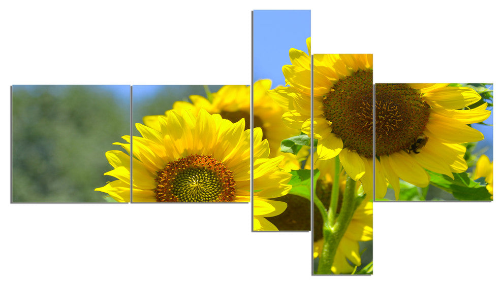 Beautiful Sunflowers View, Floral Canvas Art Print, 60"x32", 5 panels
