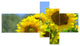 Beautiful Sunflowers View, Floral Canvas Art Print, 60"x32", 5 panels