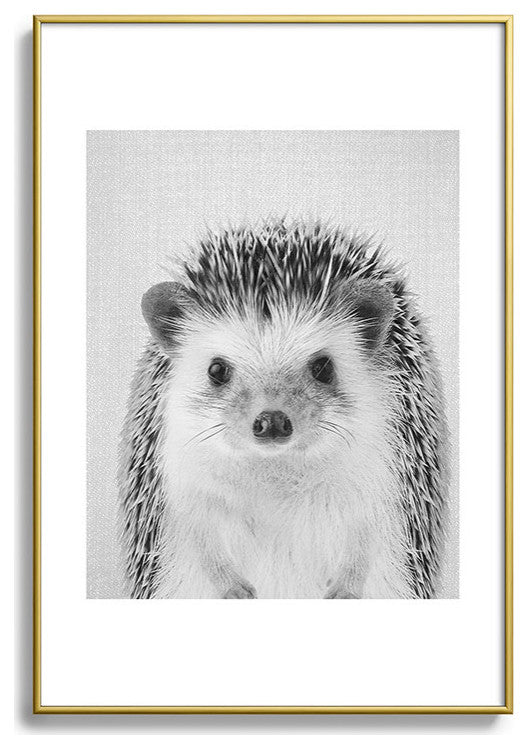 Gal Design Hedgehog Black White Metal Framed Art Print