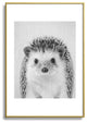 Gal Design Hedgehog Black White Metal Framed Art Print