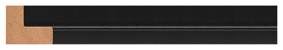 "Cosmos In The Field" By Danhui Nai, Giclee Print On Canvas, Ready To Hang