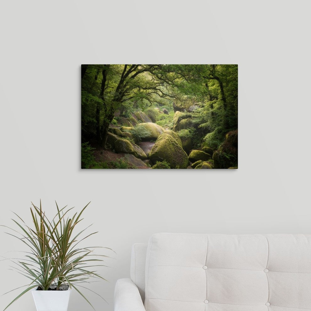 "Huelgoat Forest in Brittany" Wrapped Canvas Art Print, 24"x16"x1.5"
