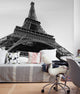 Eiffel Tower Photograph Wall Art, Peel and Stick Vinyl