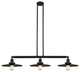 INNOVATIONS LIGHTING 213-BK-MFR-BK-12-LED Appalachian 3 Light inch Island Light