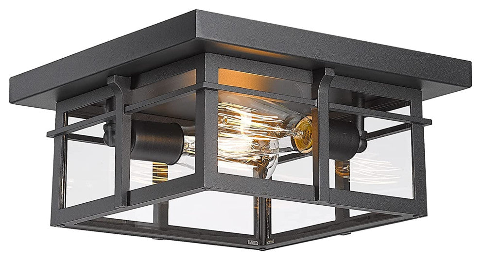 2 Light Farmhouse Flush Mount Ceiling Light Fixture Glass Black Close to Ceiling