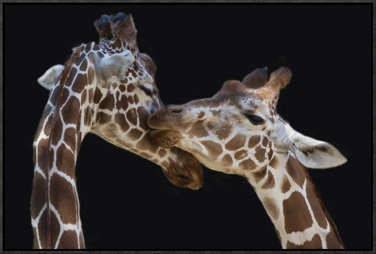 "The Kiss" Framed Canvas Giclee by Manfred Foeger, 31x21"