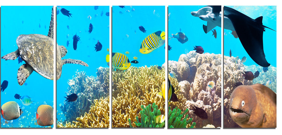 "Underwater Panorama With Sea Creatures" Photograph Print, 5 Panels