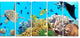 "Underwater Panorama With Sea Creatures" Photograph Print, 5 Panels