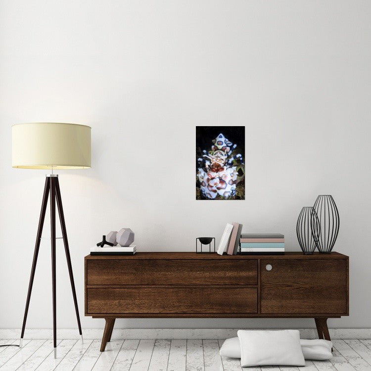 "Harlequin Shrimp" Stretched Canvas Giclee by Barathieu Gabriel, 16"x24"