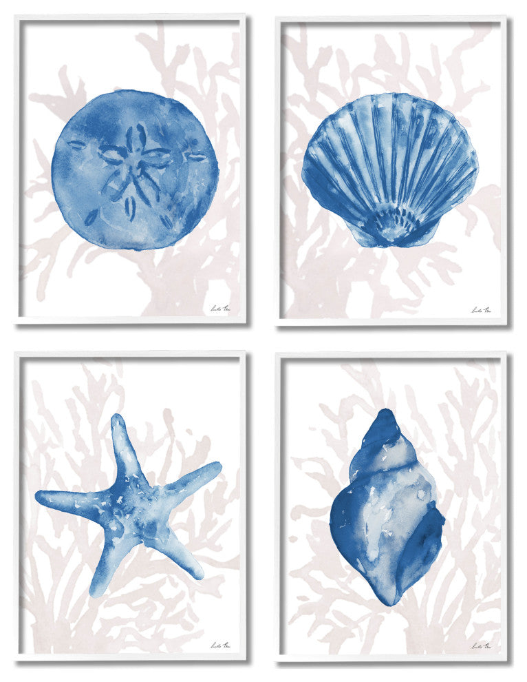 Blue Shells Starfish and Sand Dollar over Seaweed,4pc, each 11 x 14