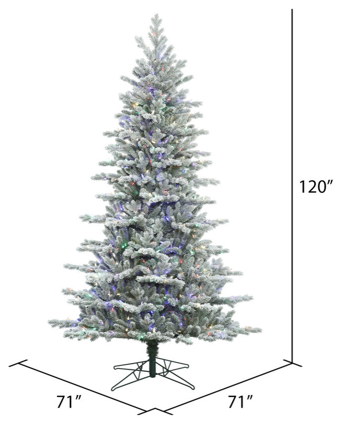 10' X 71" Frst Eastern Fir 1050Led Multi