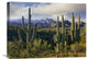 "Saguaro Cacti And Santa Catalina Mountains, Arizona" Artwork, 24" x 18"