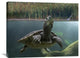 "Turtle Breathing At Surface, Jurong Bird Park, Singapore" Artwork, 32" x 24"