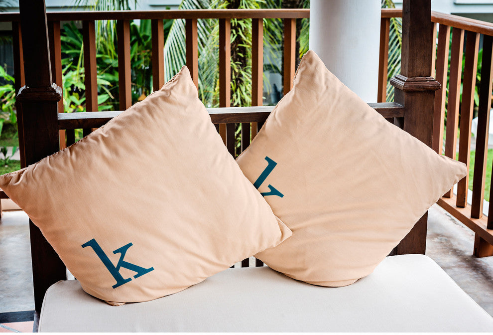 20" x 20" Modern Monogram Indoor/Outdoor Polyester Throw Pillow, Autumn Blue
