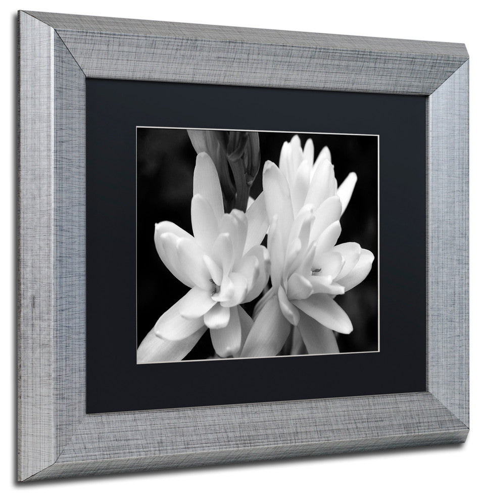 Kurt Shaffer 'Tuber Rose in Black and White' Matted Framed Art