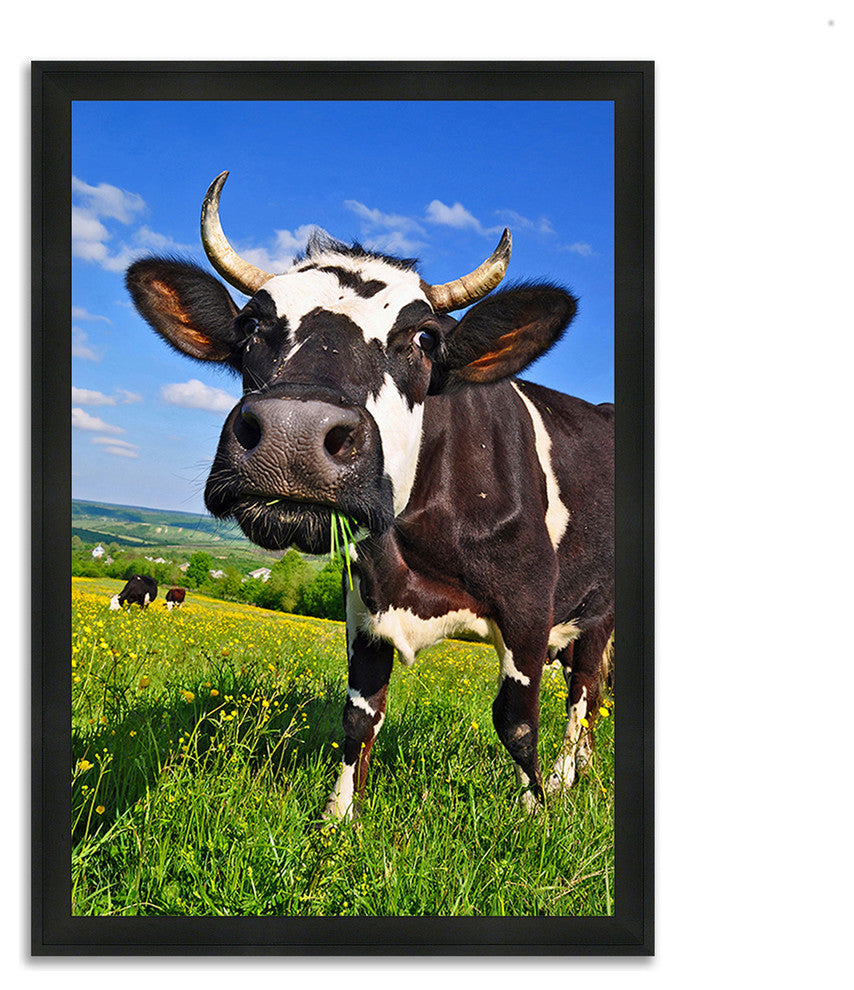 "It'S In The Milk", Framed Photograph Print, Ready To Hang