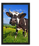 "It'S In The Milk", Framed Photograph Print, Ready To Hang