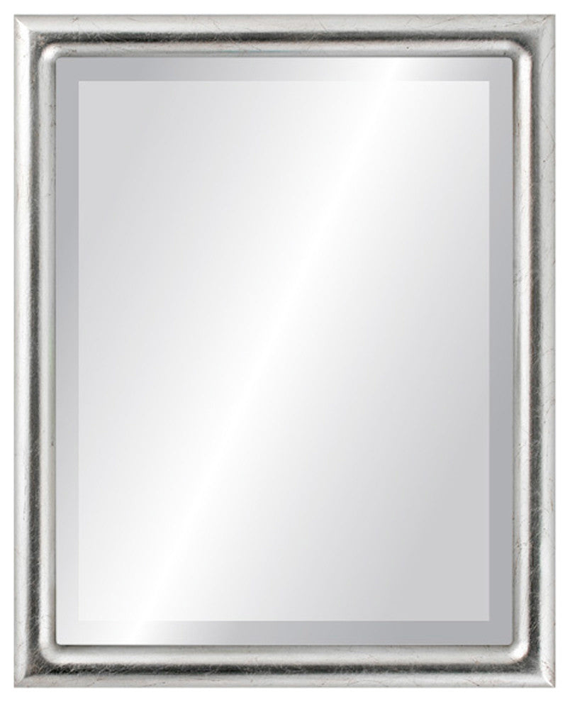 Pasadena Framed Rectangle Mirror, Silver Leaf With Brown Antique, 17"x21"