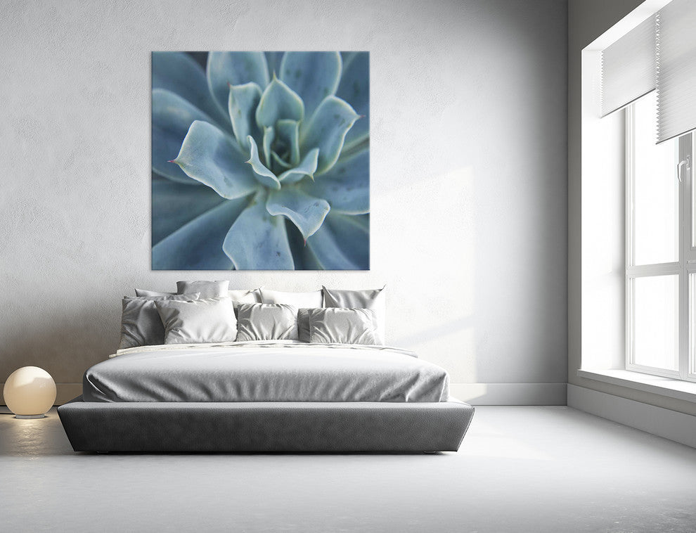 "Sweet Succulent" Fine Art Canvas Print, 54"x54"