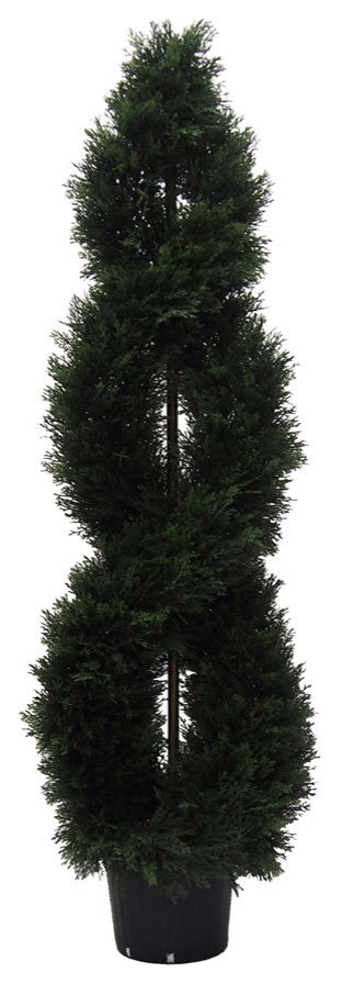 5' Cedar Double Spiral (Uv)