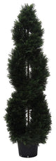 5' Cedar Double Spiral (Uv)