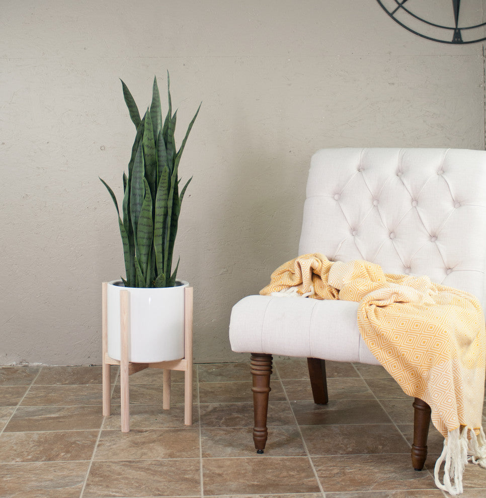 Large Ceramic Pot Cylinder Planter 10" White With Plant Stand Set Natural