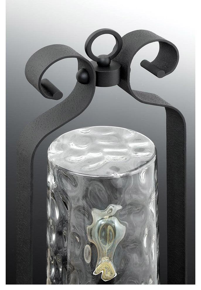 Hermosa 1-Light Outdoor Hanging Lantern Black Clear Water Glass