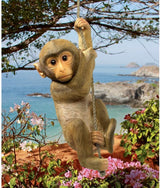 Chico the Chimpanzee Hanging Monkey