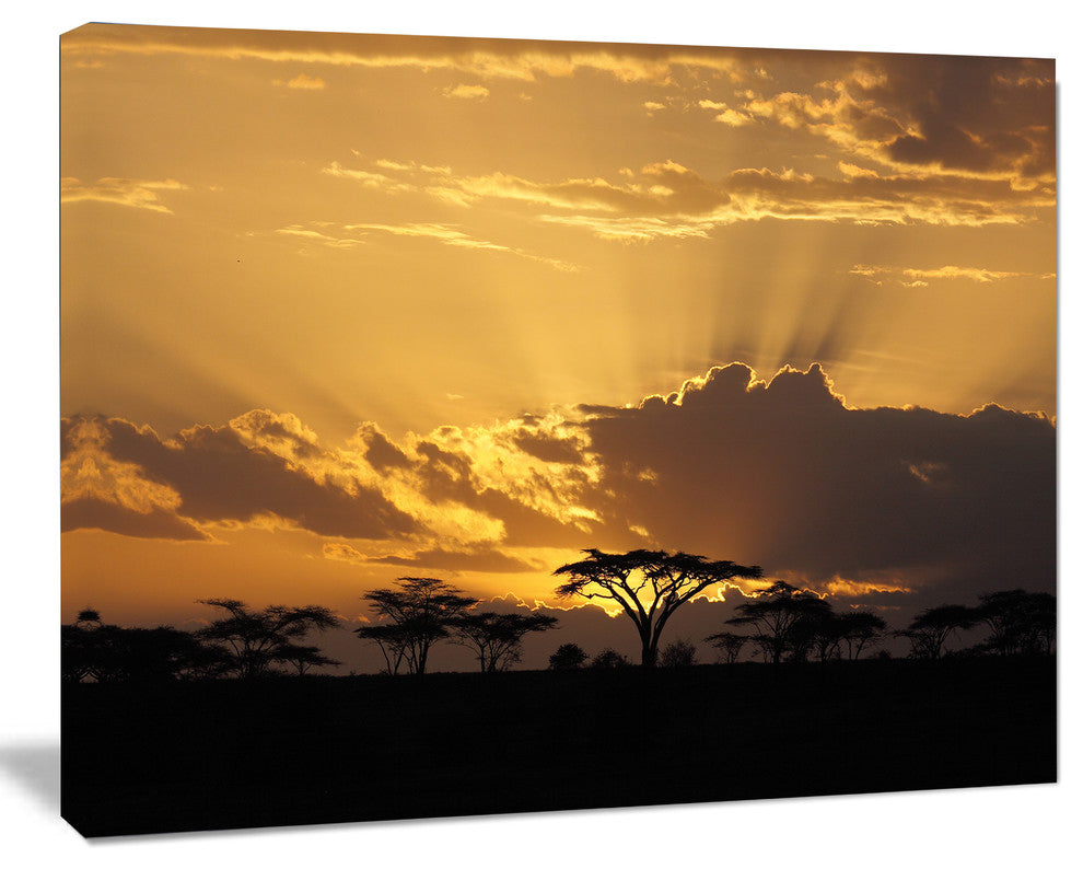 Sunset in Africa with Acacia Tree, Extra Large Landscape Canvas Art, 60"x28"