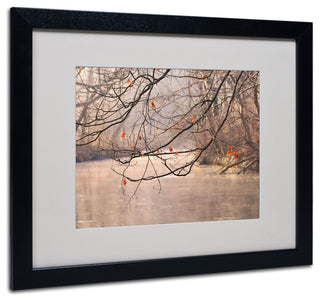 'Skylight' Matted Framed Canvas Art by Philippe Sainte-Laudy