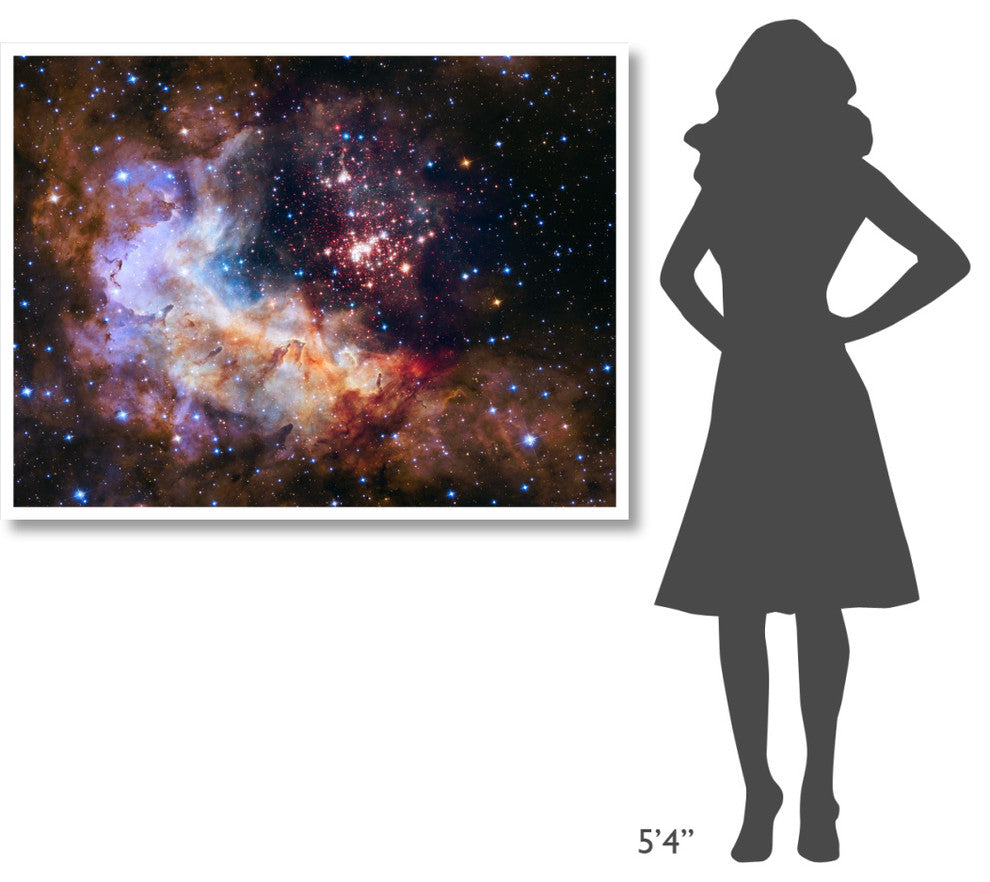 "Westerlund 2 and Gum 29 Cluster and Star Forming Region" Print by NASA, 50"x38"