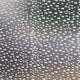 Schools in Privacy Window Film, Large 48"x84"