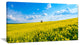 "Lone Tree in Blooming Cozla Park" Landscape Wall Art, 40"x20"
