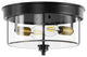 2-Light Farmhouse Close to Ceiling Lighting Fixture with Clear Glass Shade