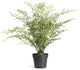 Maidenhair Drop-In 30"