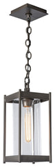 Cela Medium Outdoor Lantern Coastal Black Finish, Clear Glass