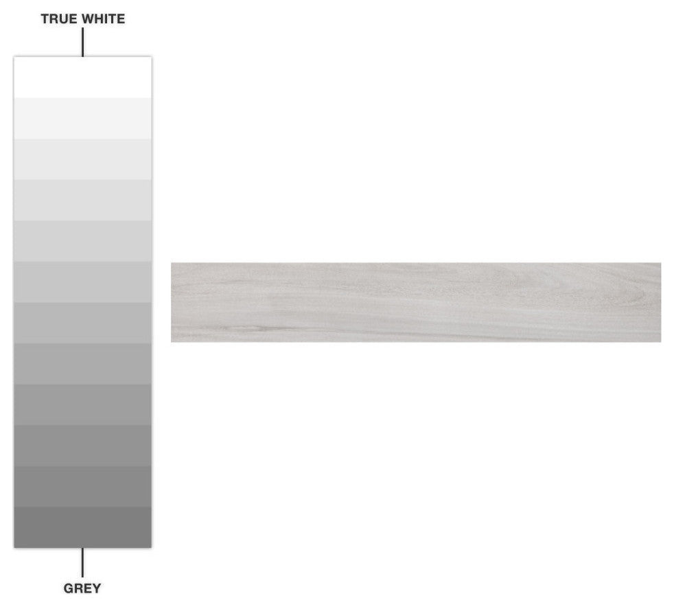 Mt Royale Porcelain Floor and Wall Tile, 68.4 sqft./pallet