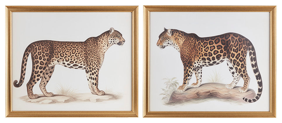 Madison Park The Duel Cheetah Framed Graphic Wall Decor 2 Piece set, Multi