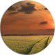 Sunset Over A Field Of Cereals, Round Wall Art Landscape, 11"