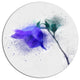 Blue Flower Stem With Color Splashes, Floral Round Wall Art, 23"