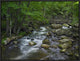 Little Stony Creek Flowing Through Jefferson National Forest, Virginia, 24"x18"